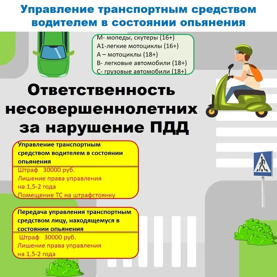 Безопасность дорожного движения